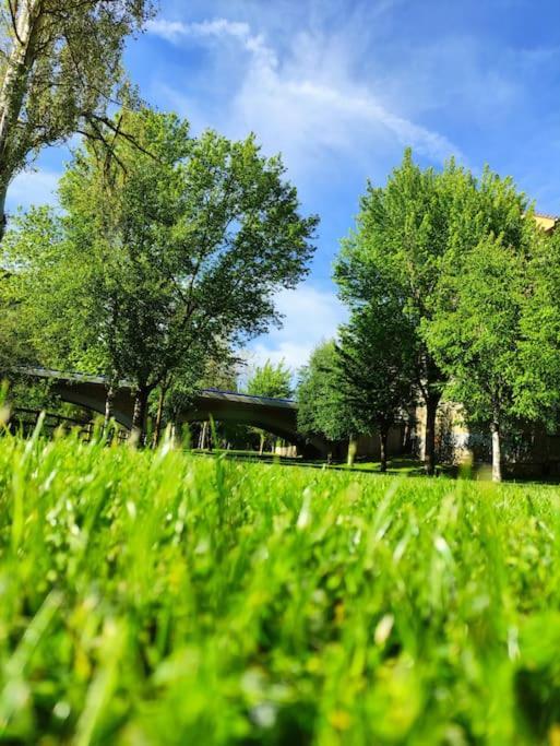 Apartament Mirador Del Oja Ezcaray Zewnętrze zdjęcie